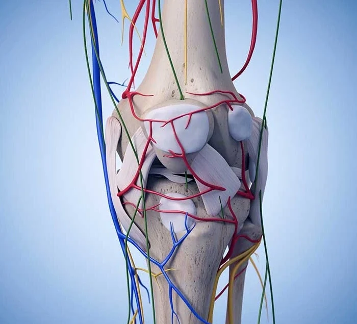 Genicular Nerve Block Treatment